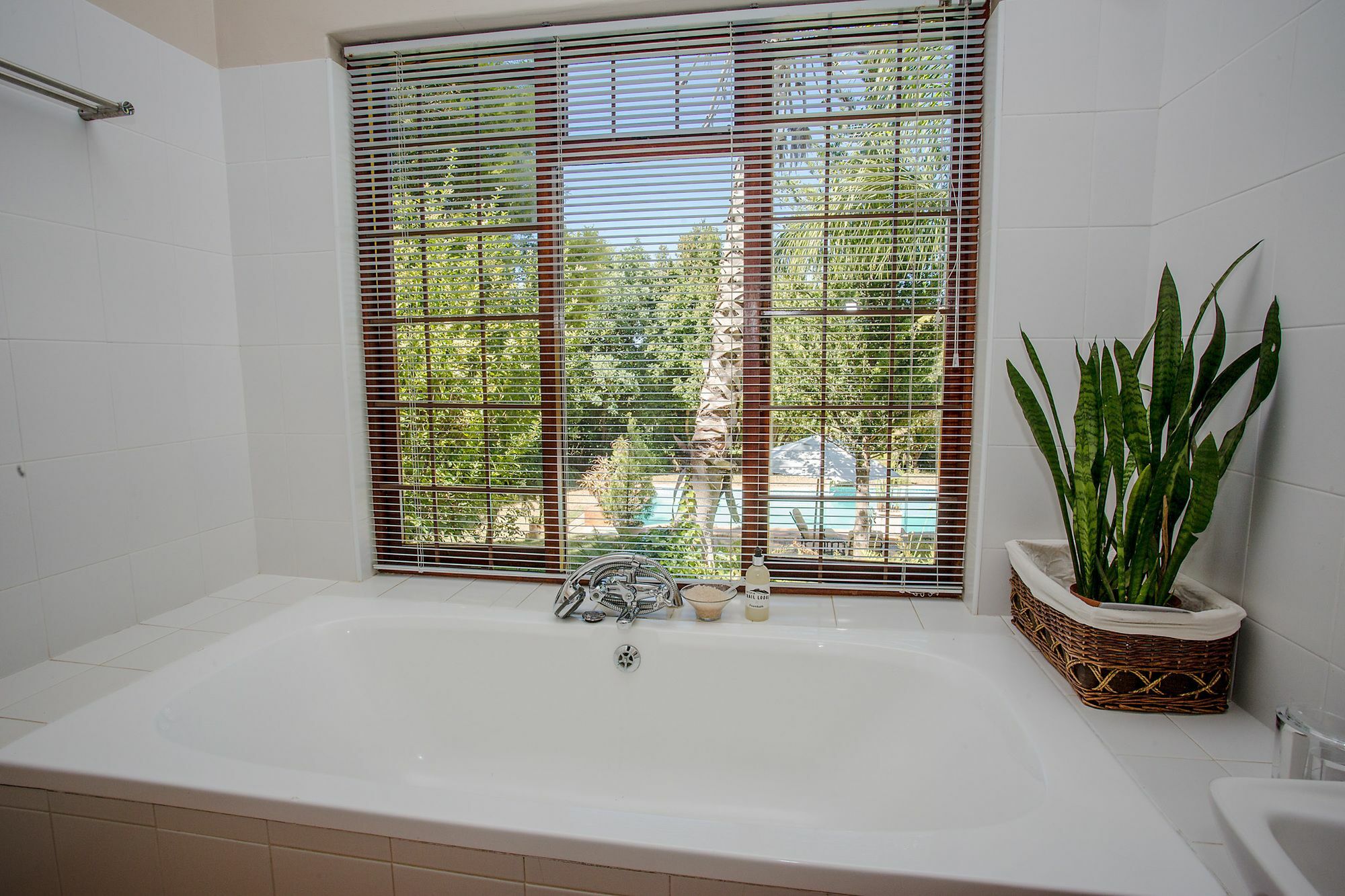 Dirtopia Trail Lodge สเตลเลนบอช ภายนอก รูปภาพ