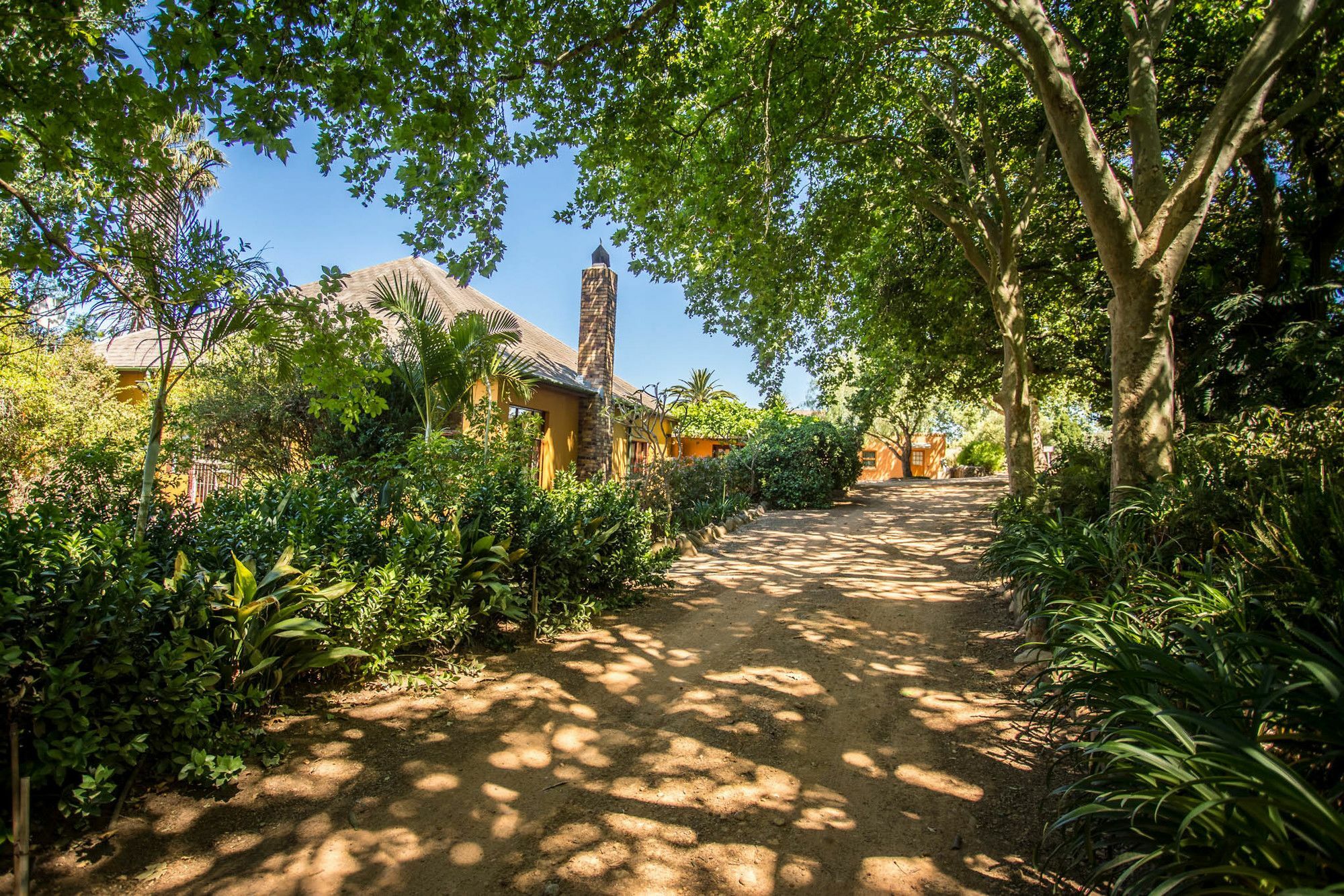 Dirtopia Trail Lodge สเตลเลนบอช ภายนอก รูปภาพ